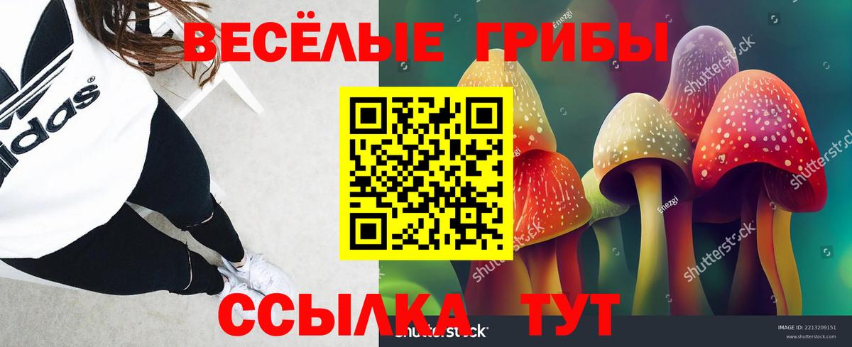 Псилоцибиновые грибы Magic Shrooms  Вход с VPN  Псилоцибиновые грибы Psilocybe  Вологда 