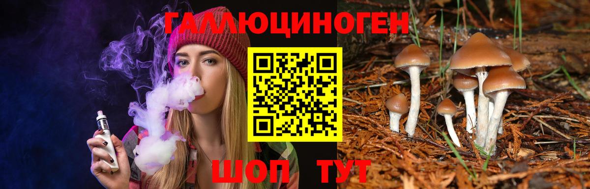 Галлюциногенные грибы мицелий Вологда